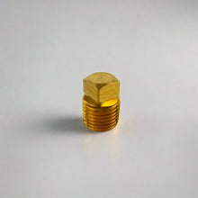 Load image into Gallery viewer, Top view of 1/4" Brass NPT Square head fuel plug