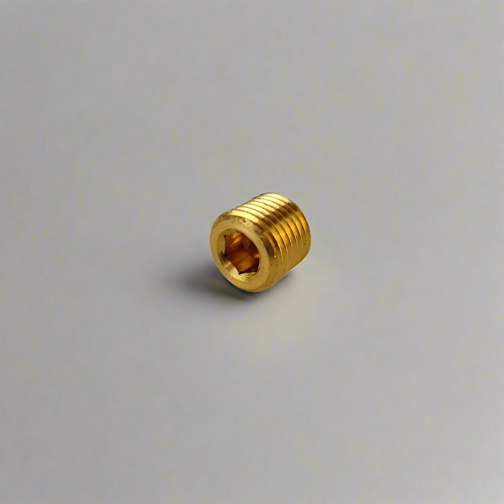 Front side view of 1/4" Brass NPT Allen fuel plug