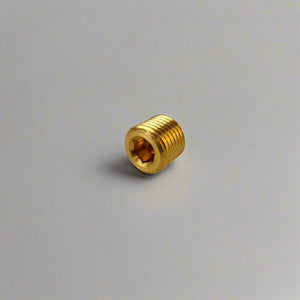 Front side view of 1/4" Brass NPT Allen fuel plug
