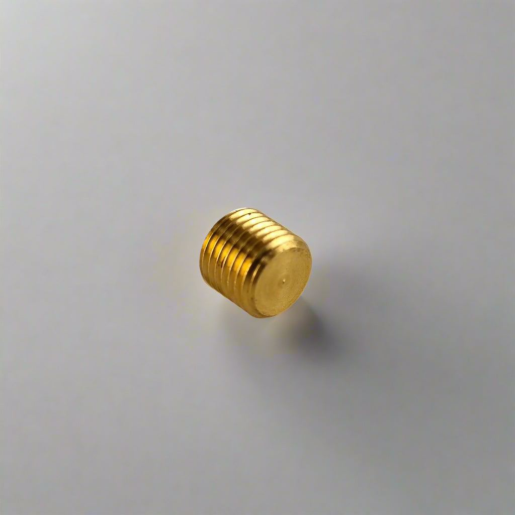 Rear view of 1/4" Brass NPT Allen fuel plug