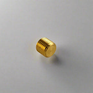 Rear view of 1/4" Brass NPT Allen fuel plug
